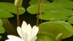 家庭教育对孩子的影响（下）