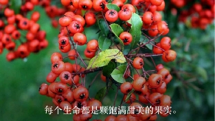 绝招赢得男人心之一  接纳
