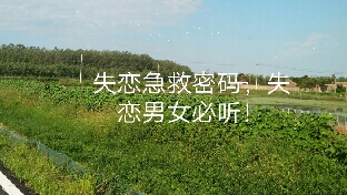 失恋急救密码之一，失恋是好事，不是坏事