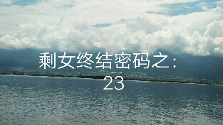 剩女终结密码之23