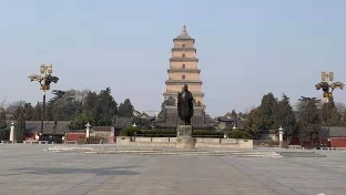 焦虑不是你的问题