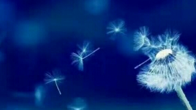 当孩子被欺负了，你该怎么做……

冰清玉洁