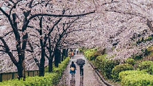 怎样提高自信呢？
