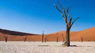 焦虑的本质与产生焦虑原因