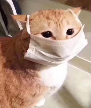 怎样让家庭走向幸福？