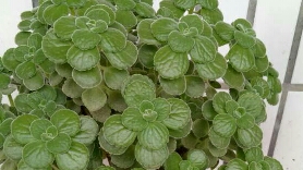 他爱不爱你，一看就知