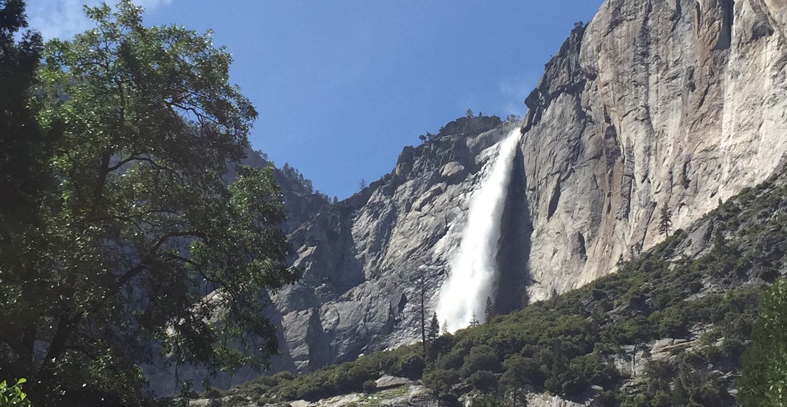 成功的投资和成功的婚姻都只需要做两件事