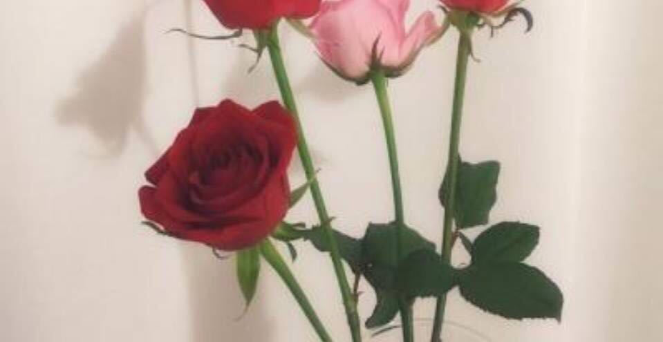 别怕，当你觉得颓的要死……