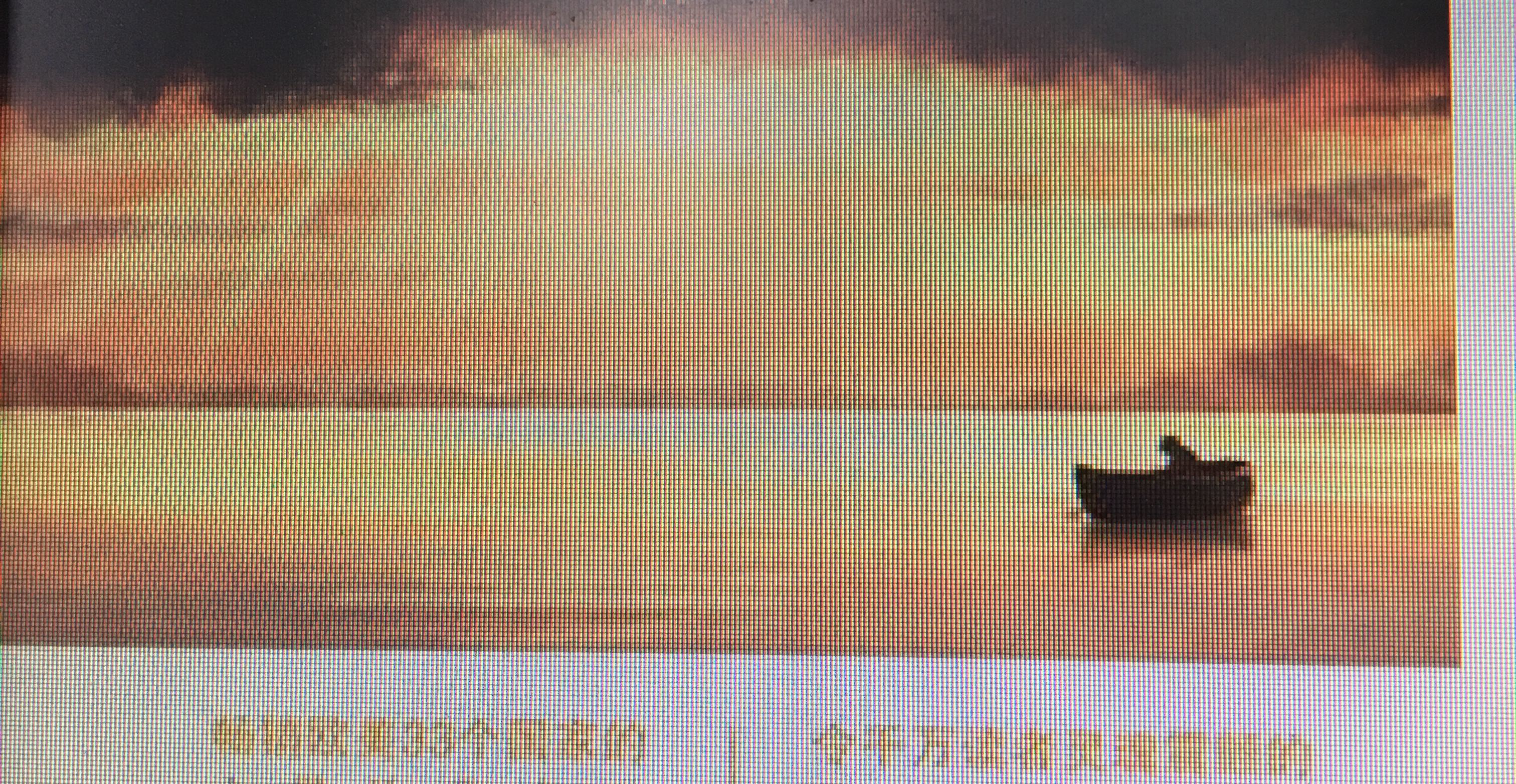 谁是你灵魂的摆渡人？
