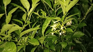 孩子暑假沉迷于电子产品？用这些技巧，对症下药效果好！