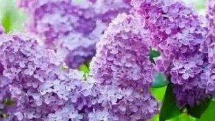 你嘴上说的是自己的人生