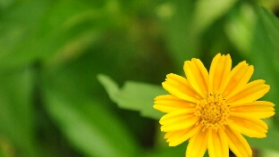 心理咨询是一个怎样的过程