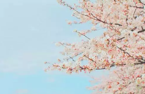 关于暧昧的个人浅见
