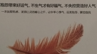 朋友18问
