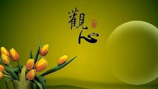 认知结构