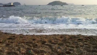 感情中的试探