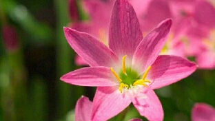 【孩子的福德，胜过学历和分数！】