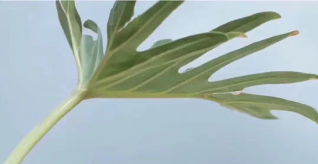 如何在考试时提高成绩