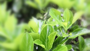 人生最重要的能力？