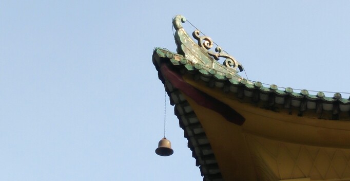 随心
