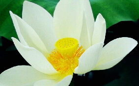 关系痛苦的原因————缺乏界限感