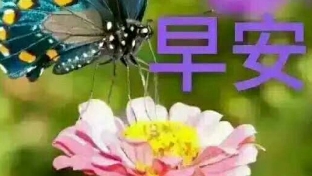 【分享】女性的十个人生锦囊（下）
