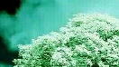 两种境界