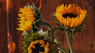 如何对待生气，拒绝，失恋，痛苦