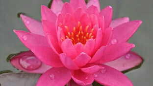 经典故事丨《救命的金钥匙》