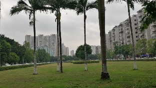 解梦 —职业新起点