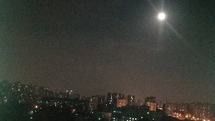 《乌合之众——大众心理研究》