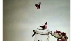 越是舍不得 越是得不到