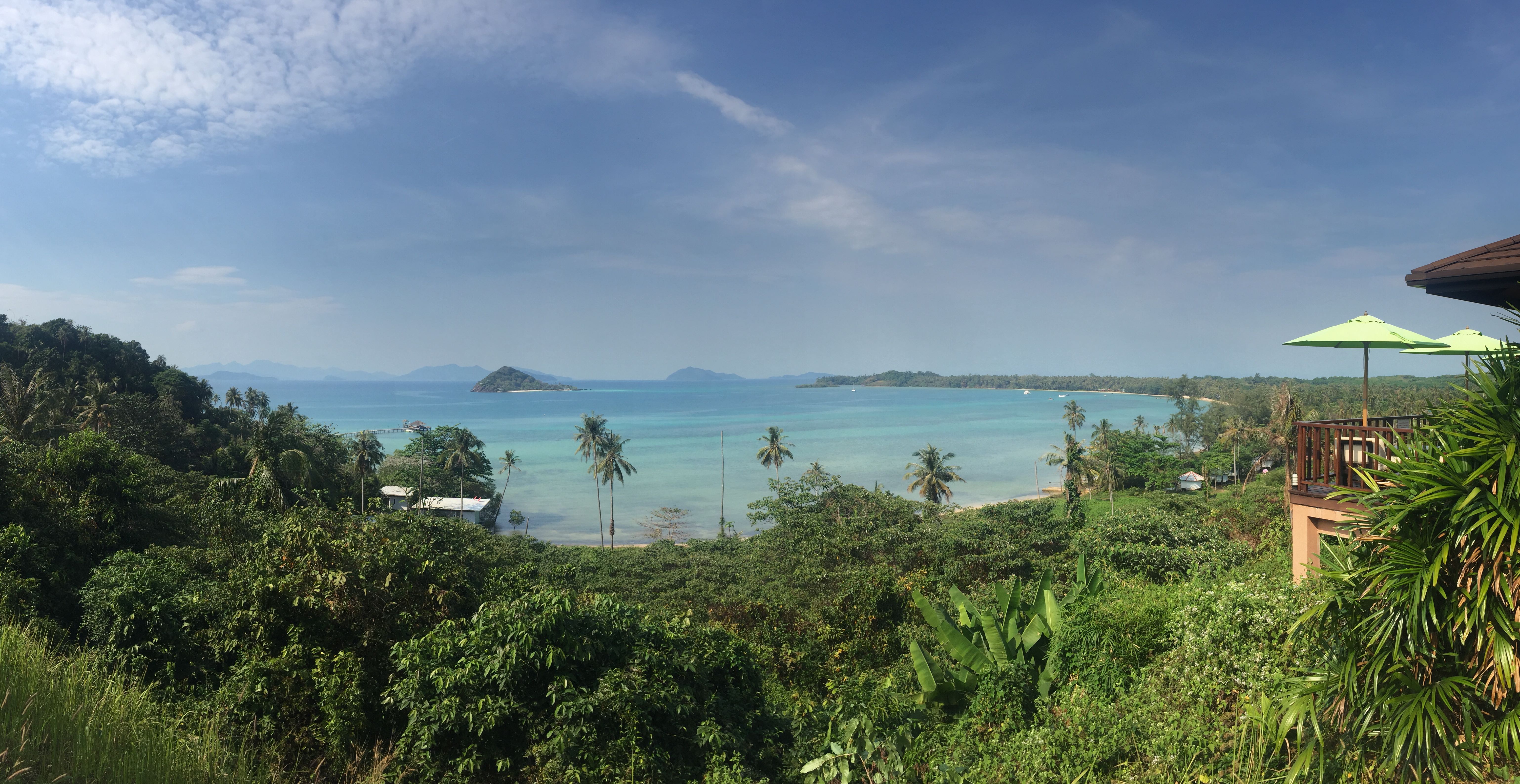 今日佳音
我们不是要爱得更努力，
而是要爱得更有智慧。