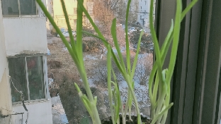 只有父母时刻保持自省，孩子们才有获得真正的尊重与爱的可