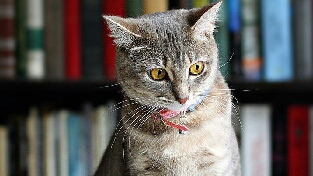 为什么男性普遍不再对女性展开追求了？