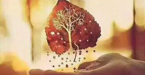 女人有漂亮的思想，才会有漂亮的人生