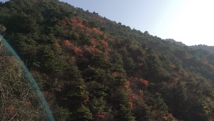 性格写在脸上 人品刻在眼里