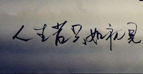 你要为你的“作”买单
