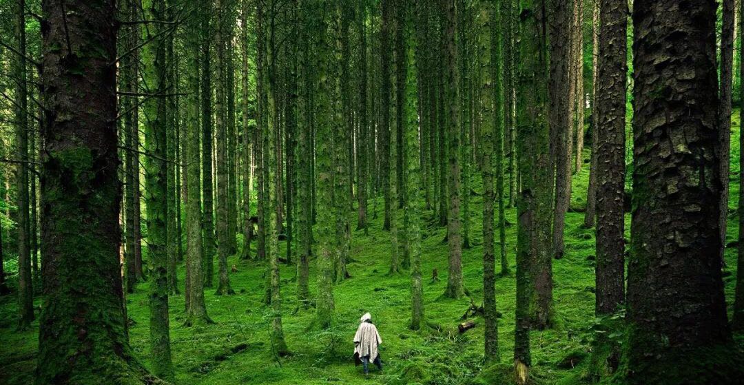 从始至终，你都是独自一人