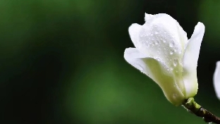 你的善良应该带有锋芒