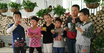 比情商更重要的是一抗挫伤。(转)