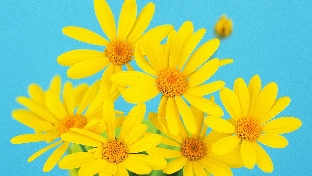 天使