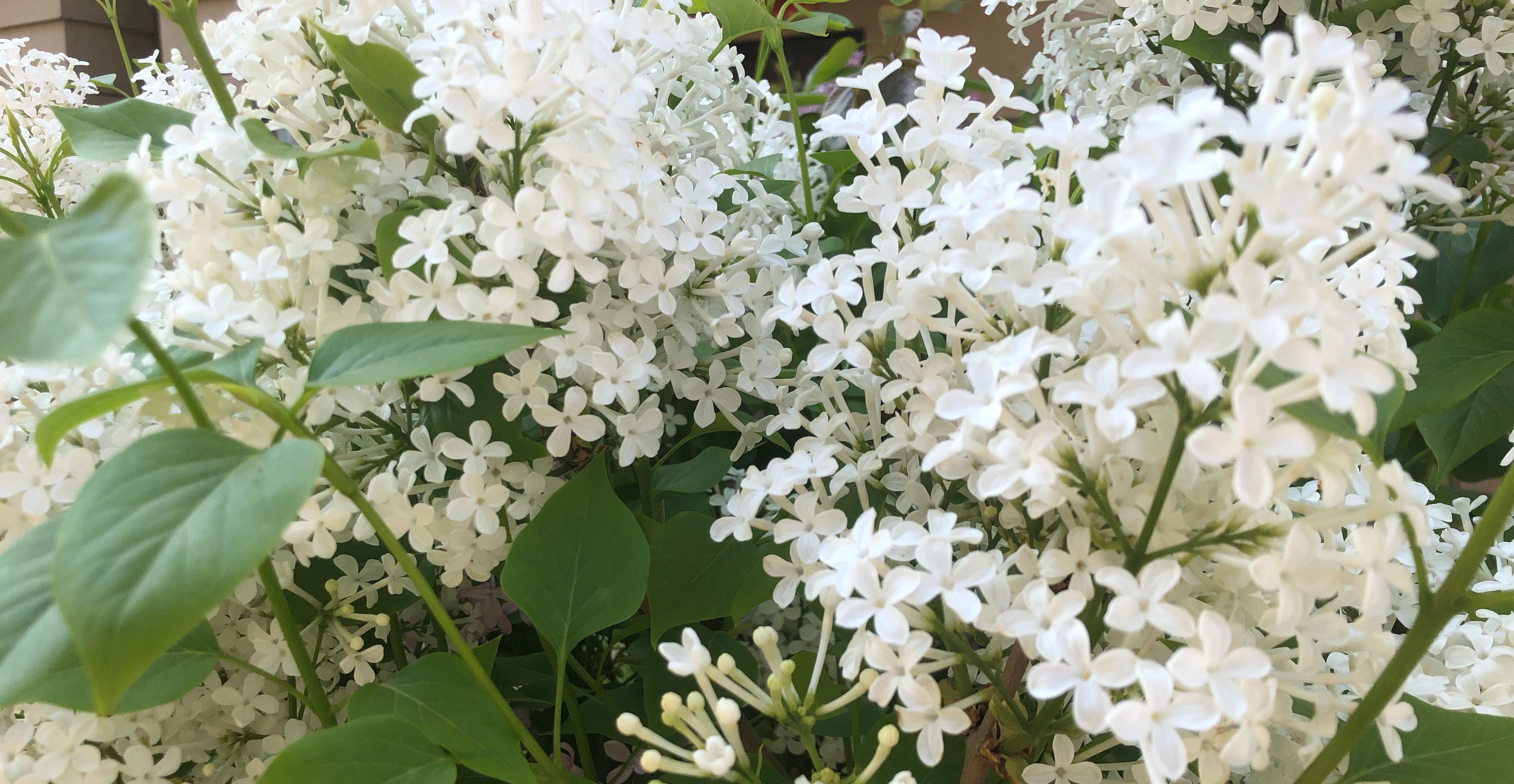 正念练习与情绪调节