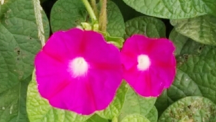 如何确认一个男人是否真的爱你