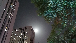 如果失眠可以说话，它到底在表达什么？