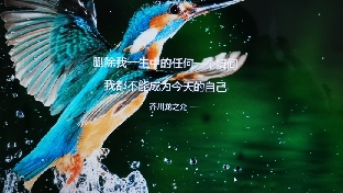 请用心爱自己，给予时间一个时间，时间可以治愈一切