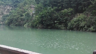 心灵蒙尘