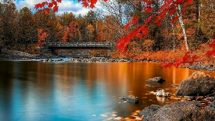 什么样八字的女孩最漂亮