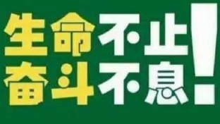 高效力