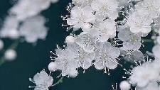 （分享）为什么你含辛茹苦的付出，换来的却是TA的冷漠无情？